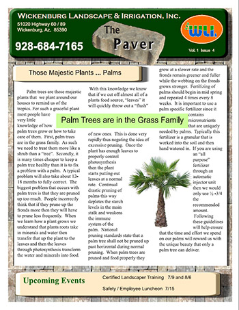 Palm Tree Seasonal Fertilization Program